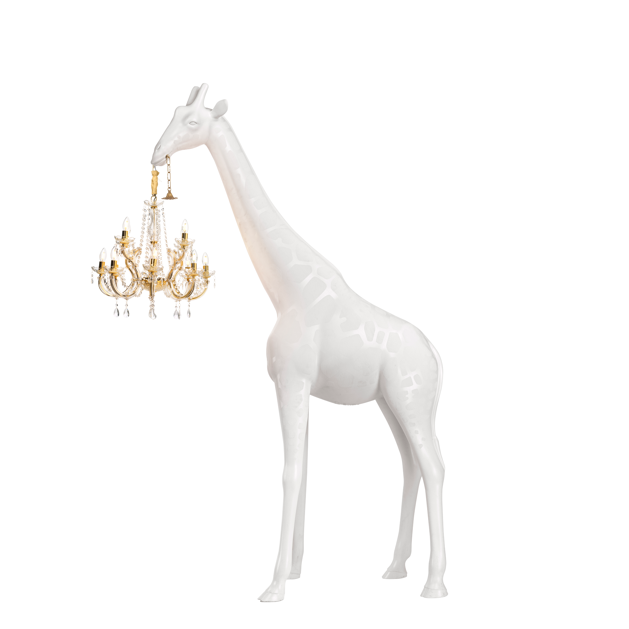 White Giraffe In Love M Indoor