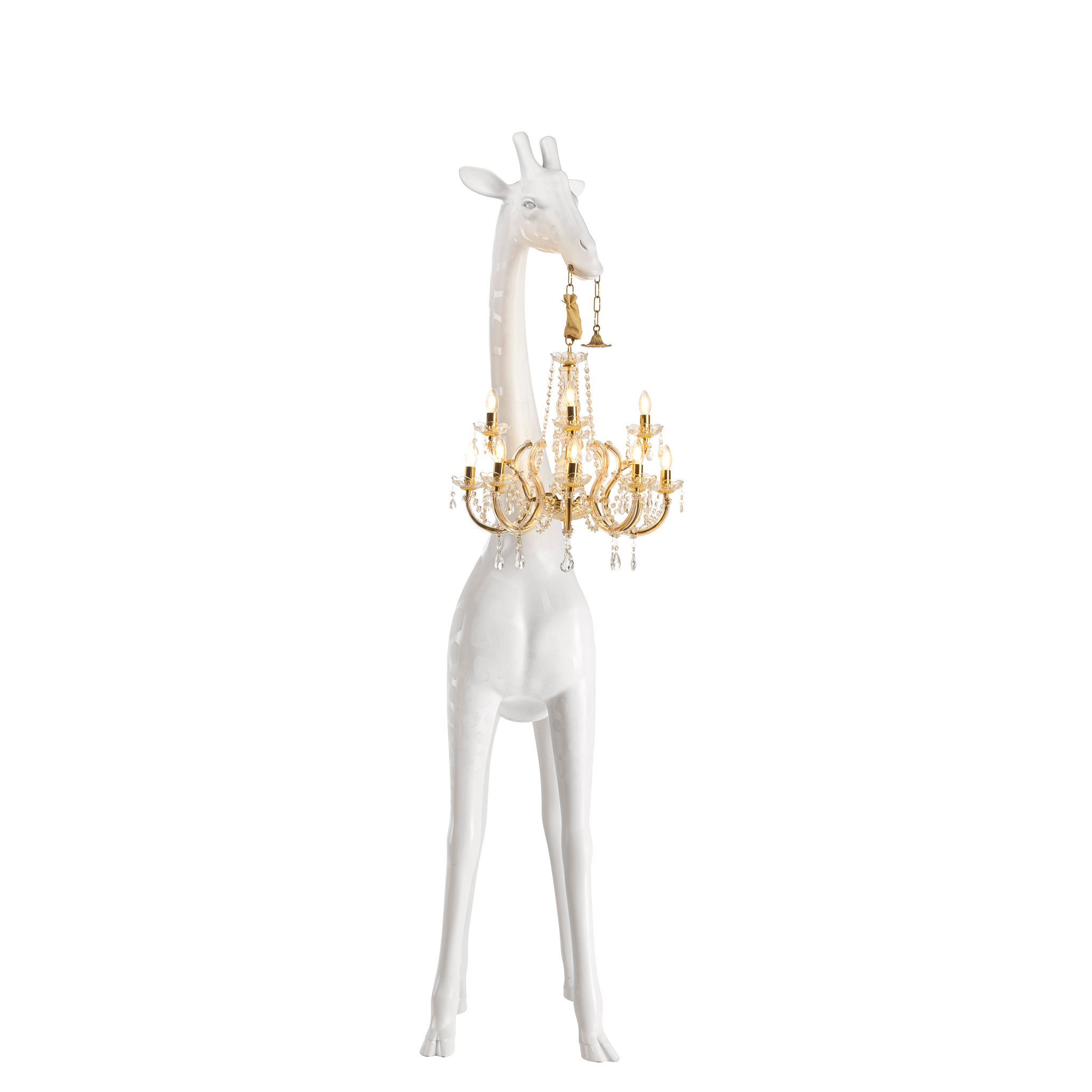 White Giraffe In Love M Indoor