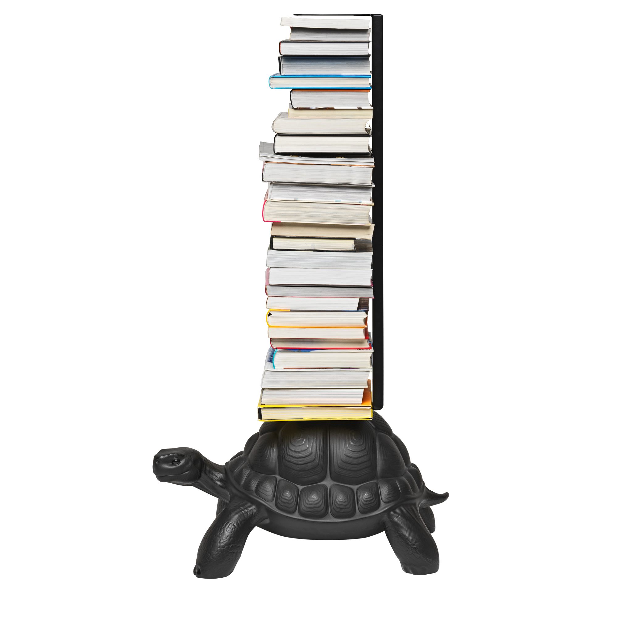 Black Turtle Carry Bookcase