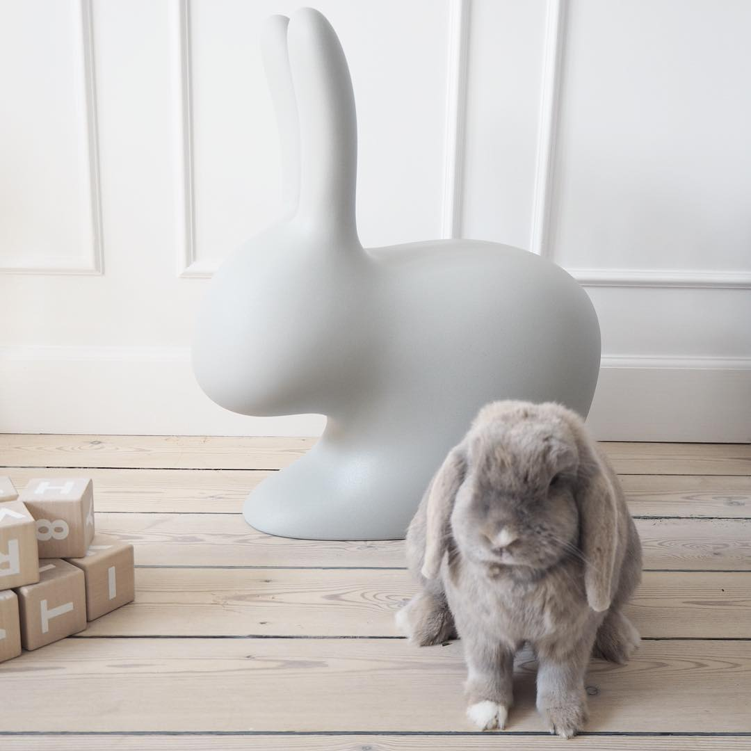 Grey Rabbit Chair