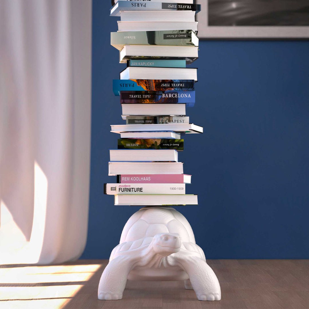 Turtle Carry Bookcase - Intent