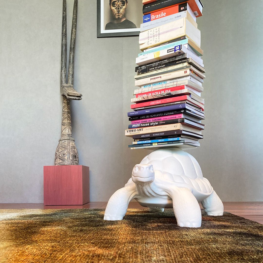 Turtle Carry Bookcase - Intent